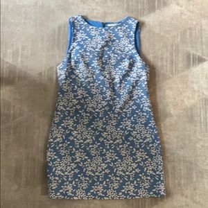 Alice and Olivia Shift Dress